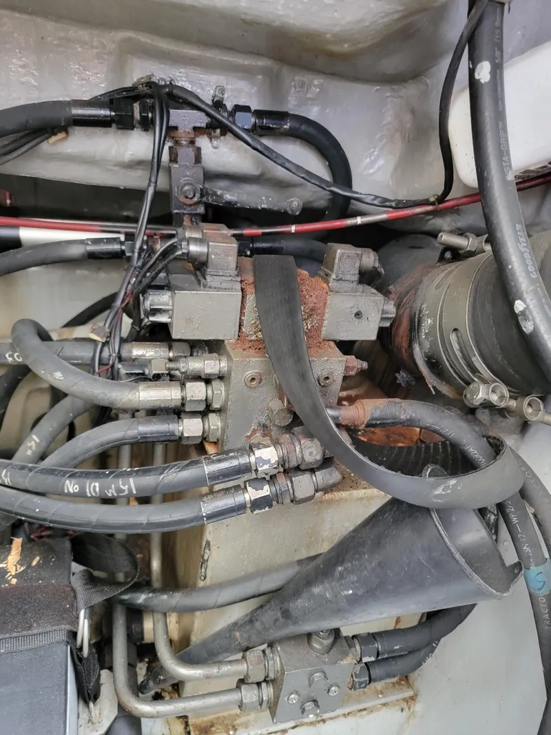 Slide: The Image of Lion Robertson & Caine Lion 46 2003 - 141