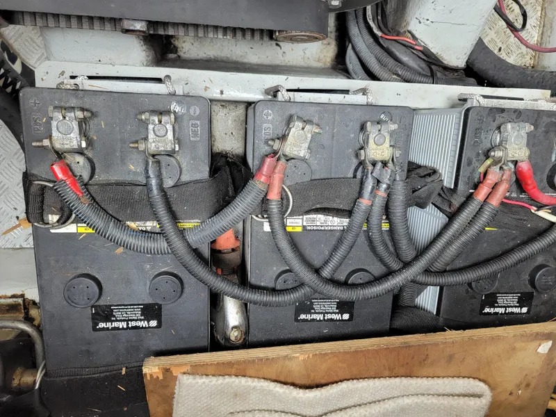 Slide: The Image of Lion Robertson & Caine Lion 46 2003 - 142