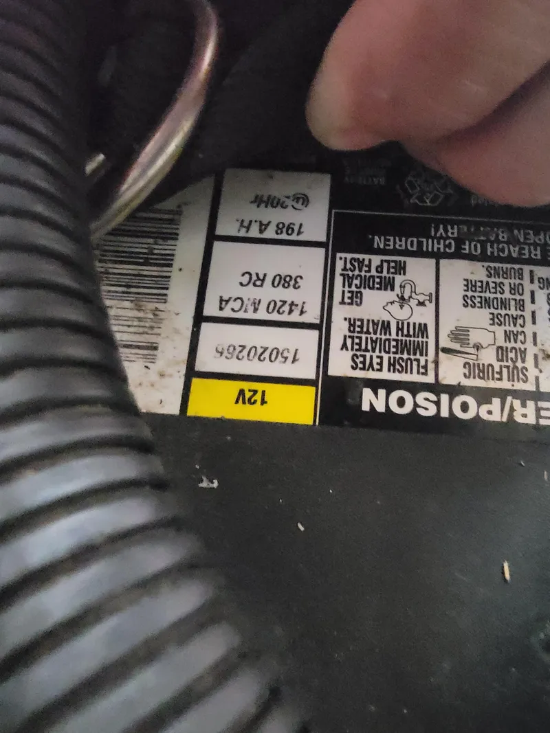 Slide: The Image of Lion Robertson & Caine Lion 46 2003 - 143