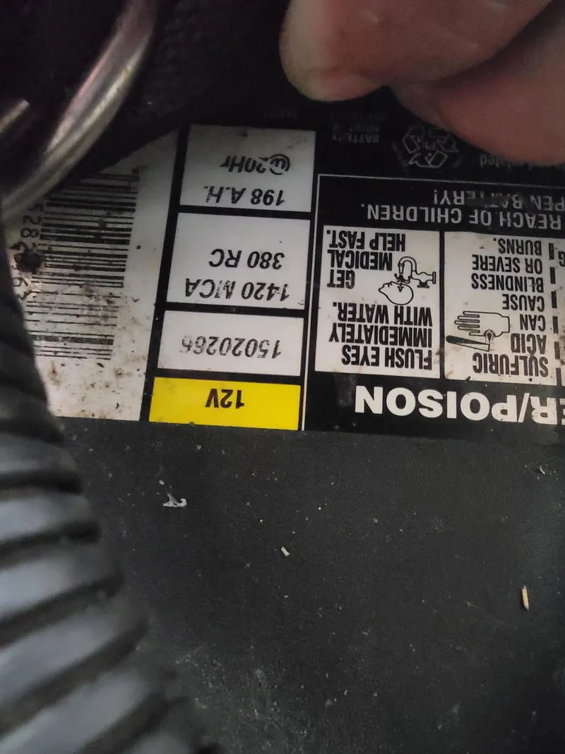 Slide: The Image of Lion Robertson & Caine Lion 46 2003 - 146