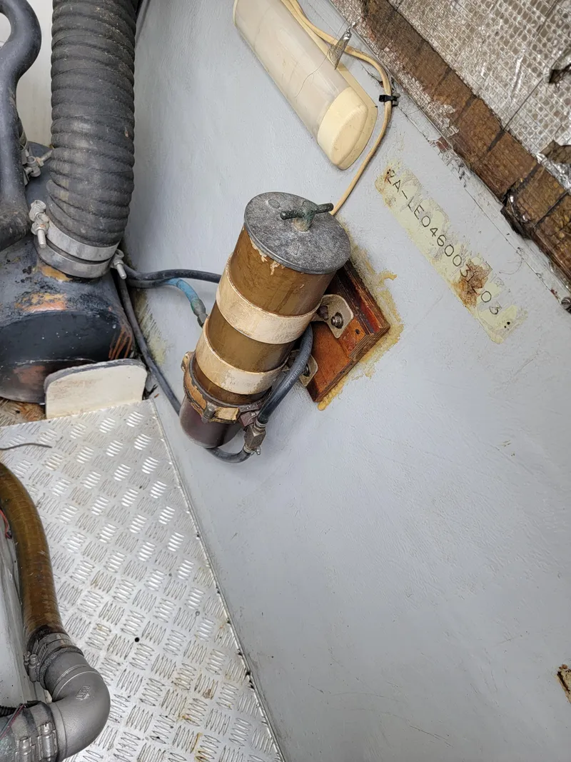 Slide: The Image of Lion Robertson & Caine Lion 46 2003 - 147