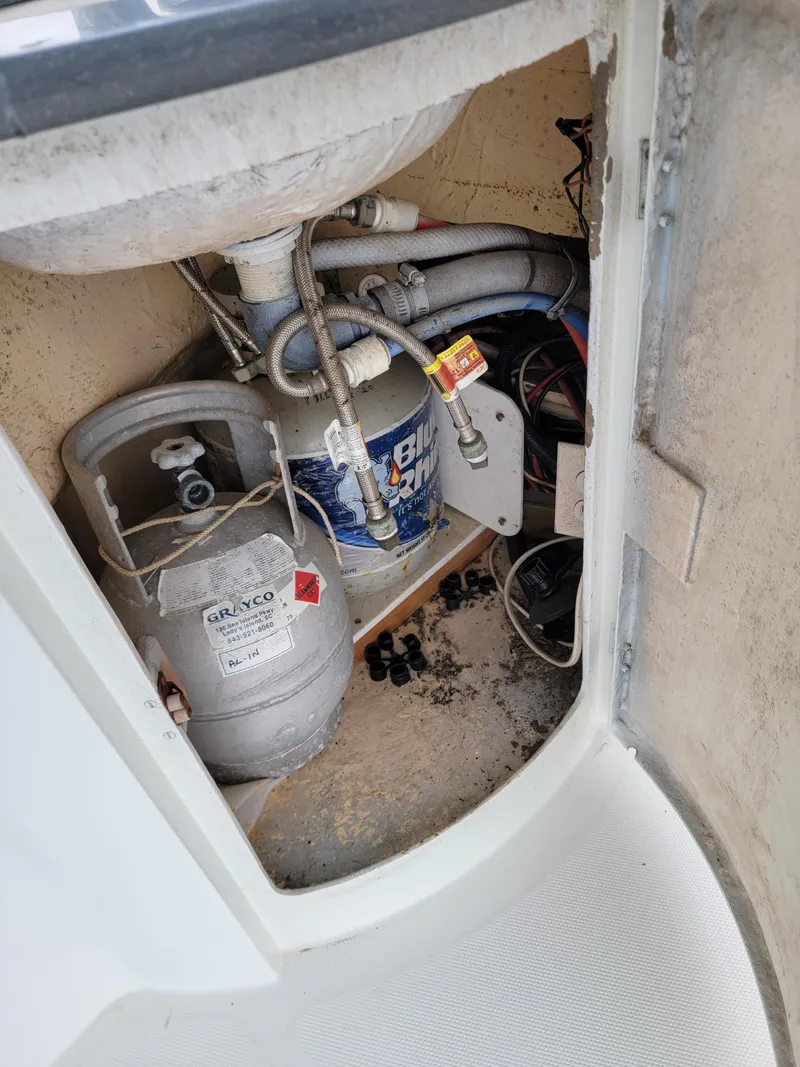 Slide: The Image of Lion Robertson & Caine Lion 46 2003 - 50