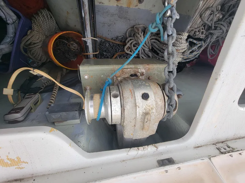 Slide: The Image of Lion Robertson & Caine Lion 46 2003 - 51