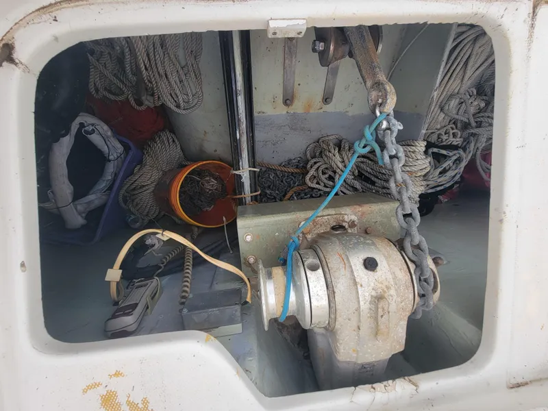 Slide: The Image of Lion Robertson & Caine Lion 46 2003 - 52