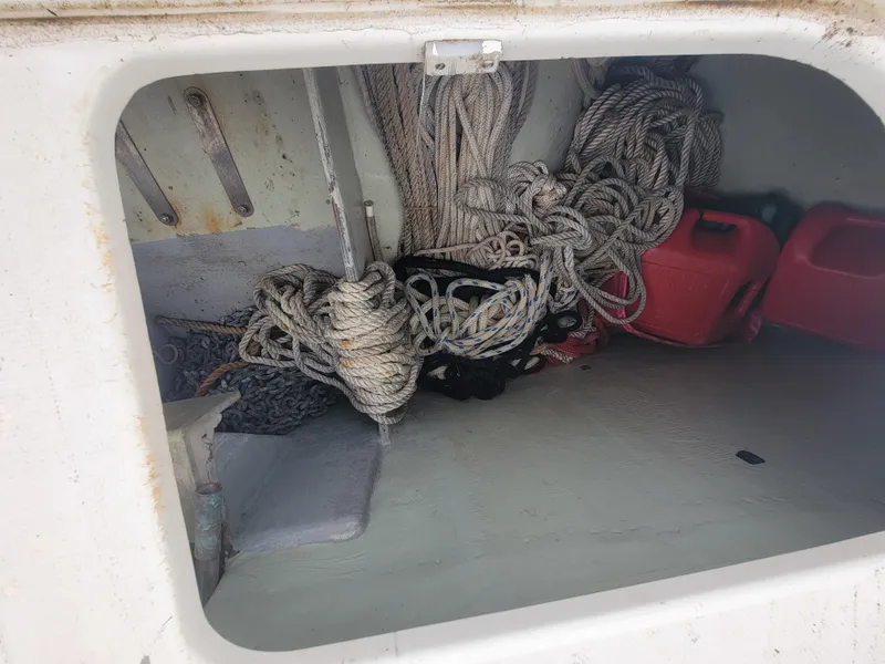 Slide: The Image of Lion Robertson & Caine Lion 46 2003 - 53