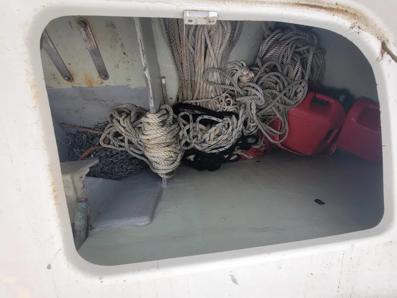 Slide: The Image of Lion Robertson & Caine Lion 46 2003 - 54