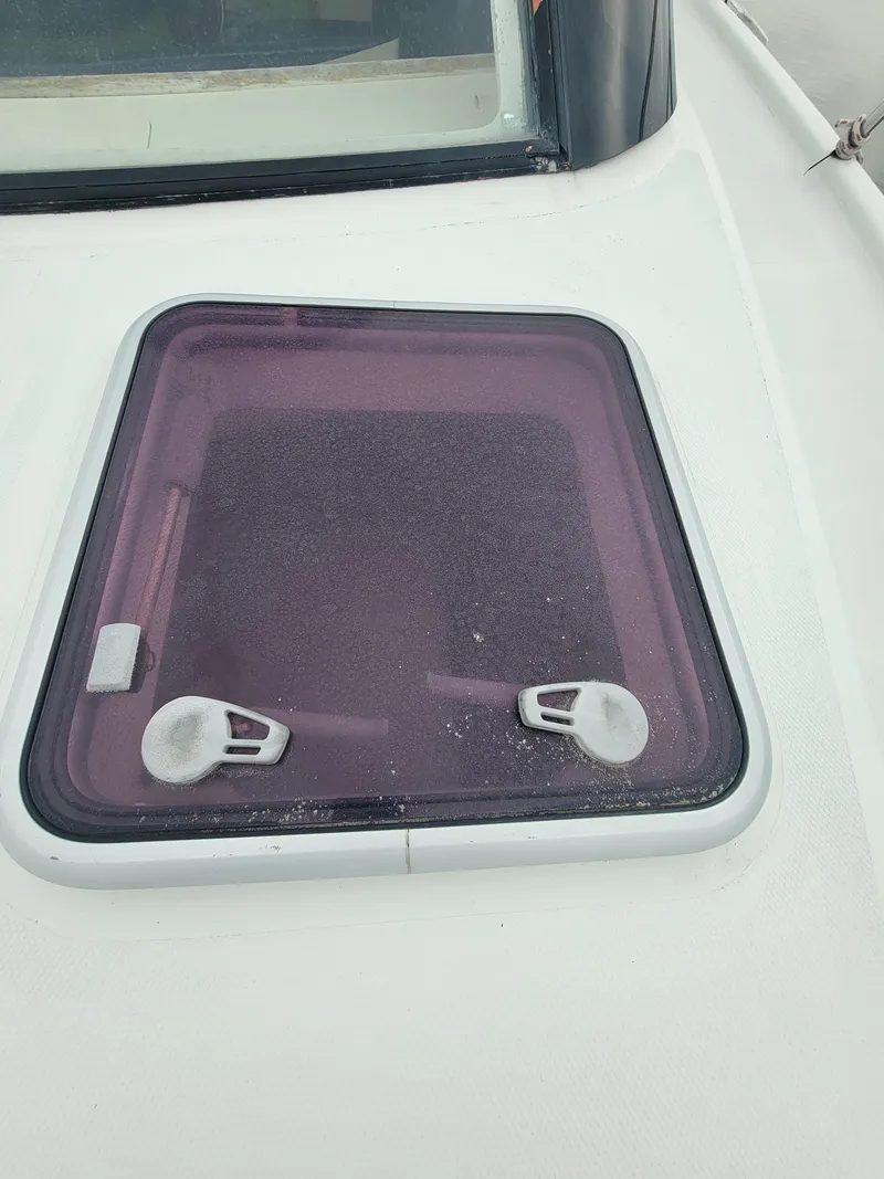 Slide: The Image of Lion Robertson & Caine Lion 46 2003 - 55