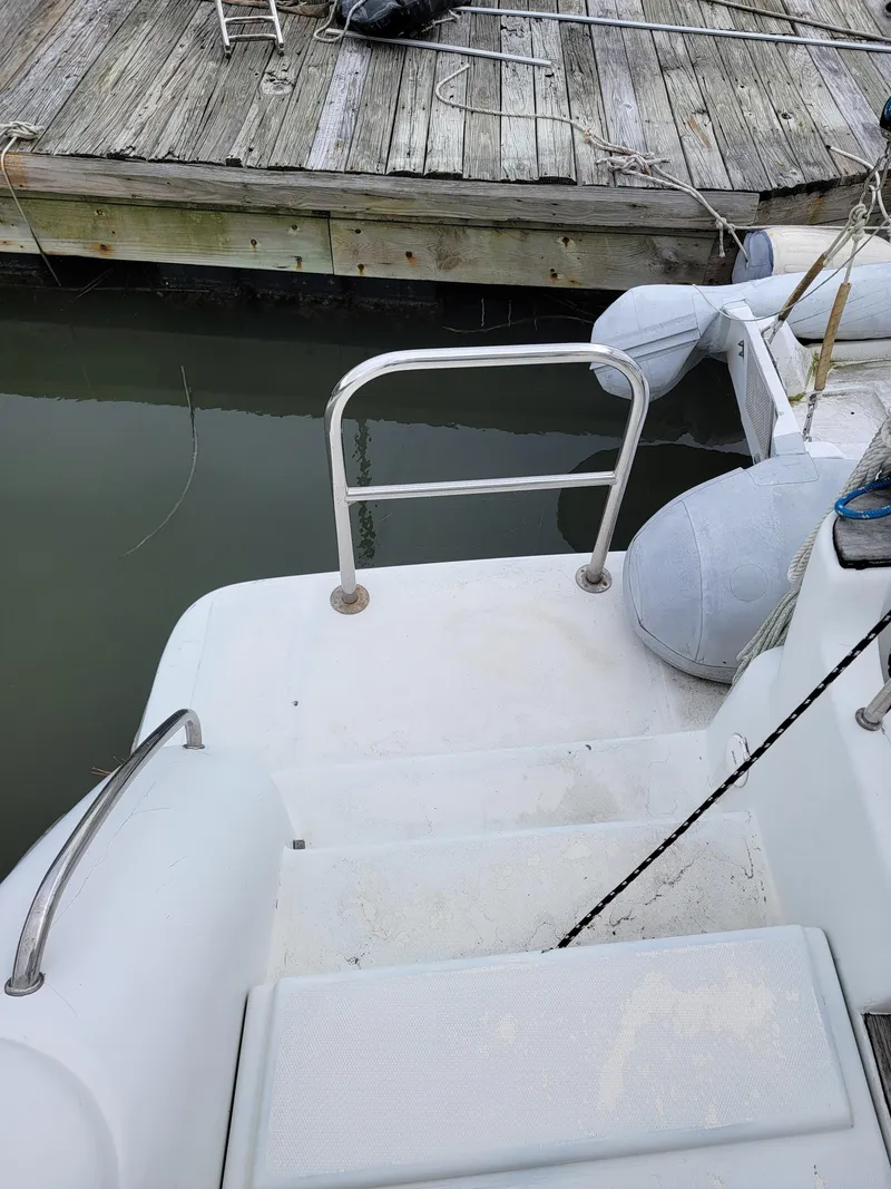 Slide: The Image of Lion Robertson & Caine Lion 46 2003 - 56