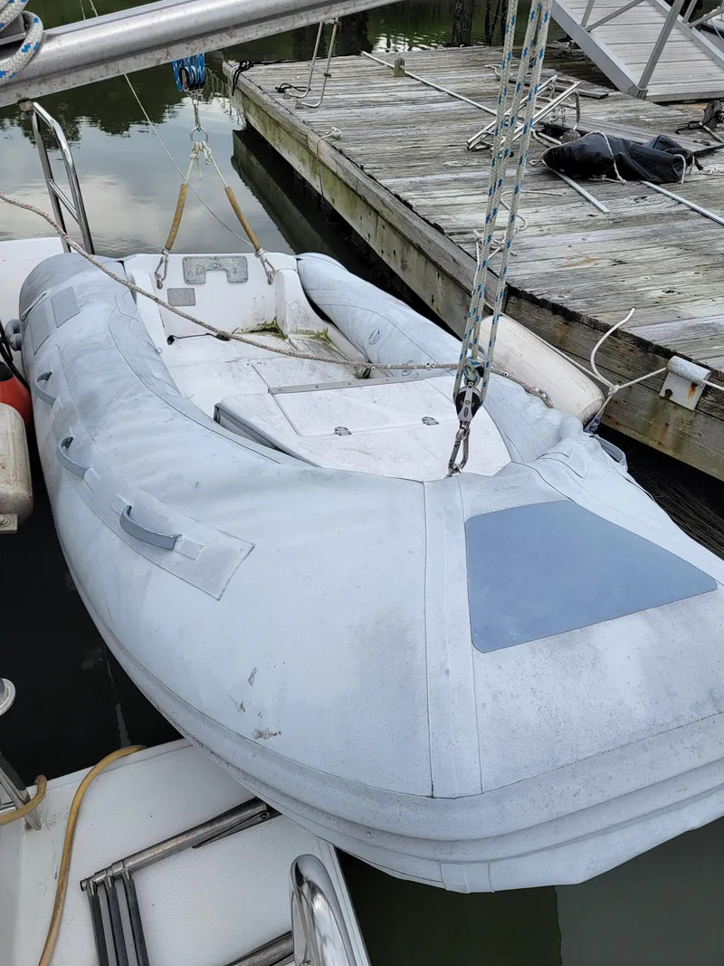 Slide: The Image of Lion Robertson & Caine Lion 46 2003 - 58