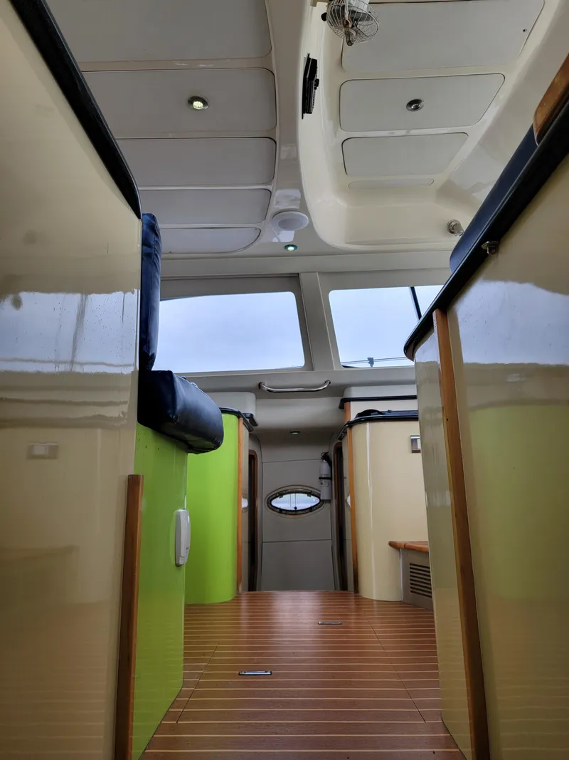 Slide: The Image of Lion Robertson & Caine Lion 46 2003 - 81