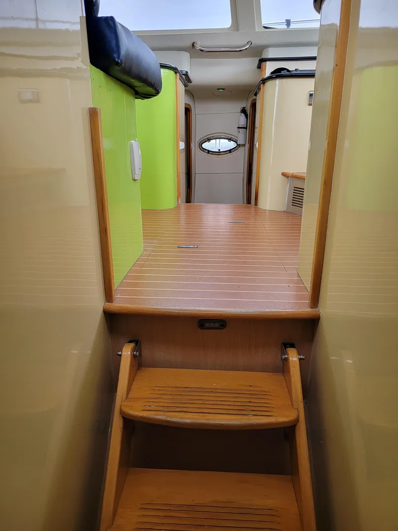 Slide: The Image of Lion Robertson & Caine Lion 46 2003 - 82