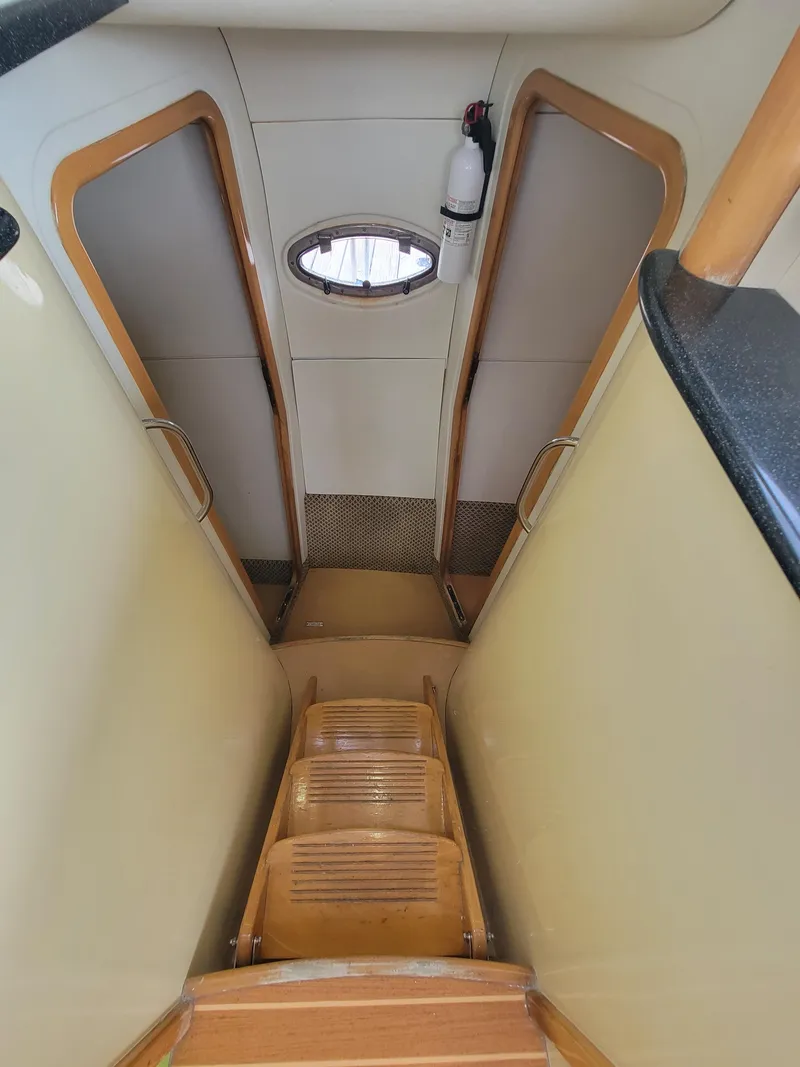 Slide: The Image of Lion Robertson & Caine Lion 46 2003 - 83