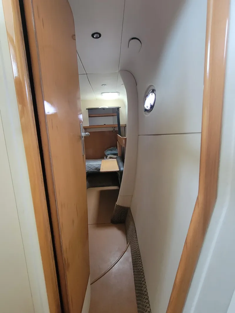 Slide: The Image of Lion Robertson & Caine Lion 46 2003 - 84