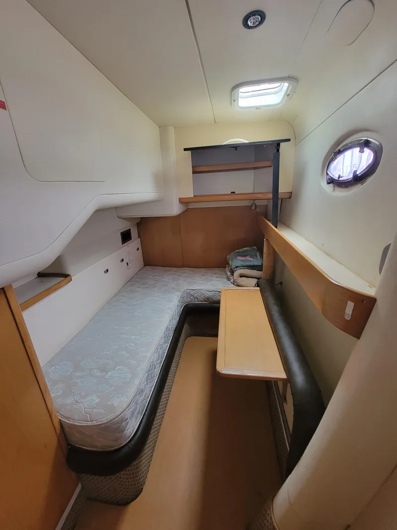 Slide: The Image of Lion Robertson & Caine Lion 46 2003 - 87