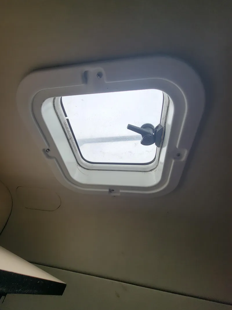 Slide: The Image of Lion Robertson & Caine Lion 46 2003 - 89