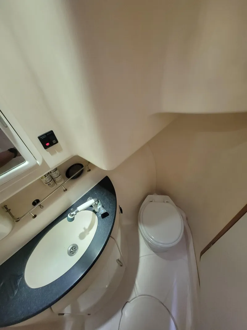 Slide: The Image of Lion Robertson & Caine Lion 46 2003 - 92