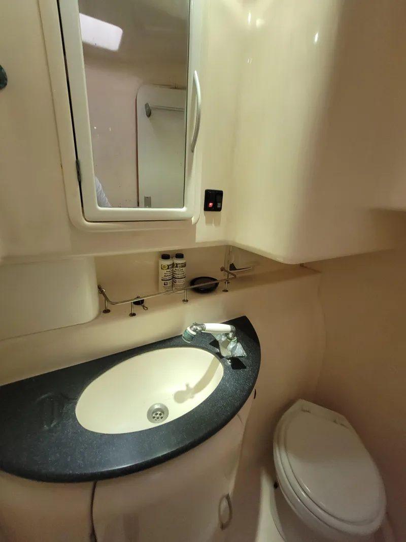 Slide: The Image of Lion Robertson & Caine Lion 46 2003 - 93