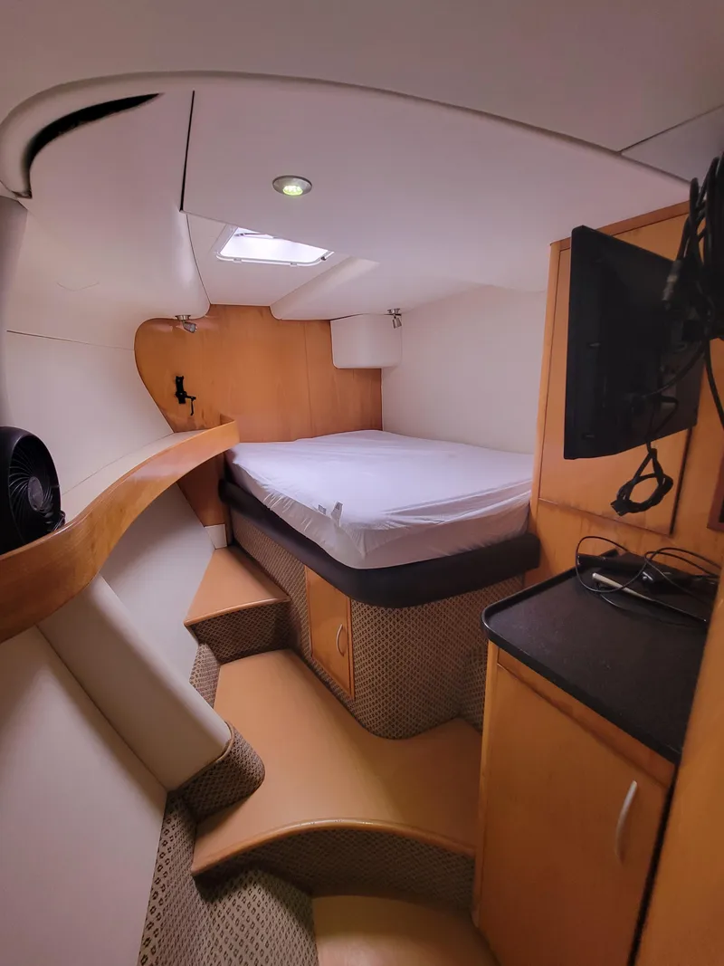 Slide: The Image of Lion Robertson & Caine Lion 46 2003 - 95