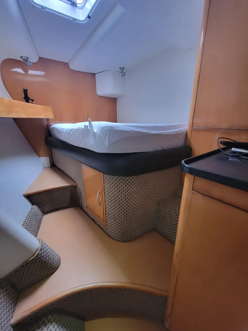 Slide: The Image of Lion Robertson & Caine Lion 46 2003 - 96