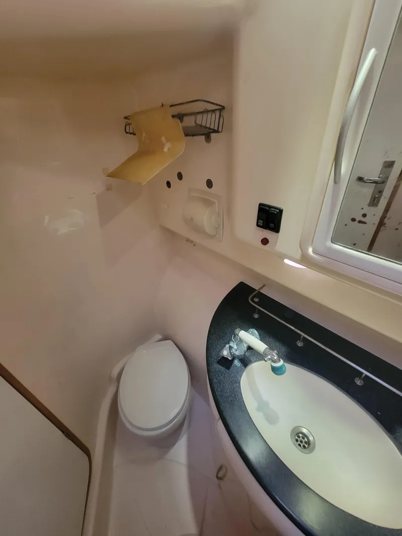 Slide: The Image of Lion Robertson & Caine Lion 46 2003 - 99