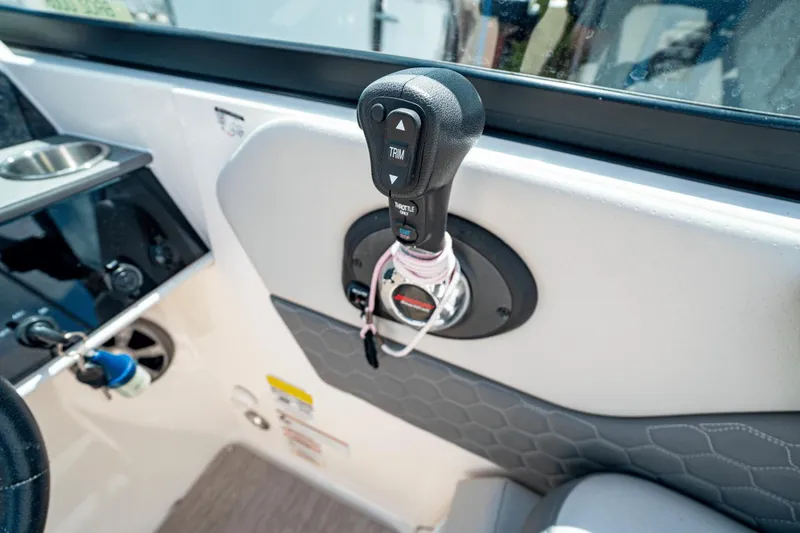 Slide: The Image of Sea Ray 250 SDX Outboard 2021 - 10