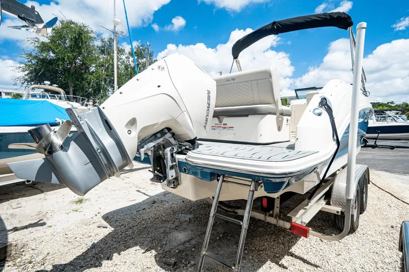 Slide: The Image of Sea Ray 250 SDX Outboard 2021 - 8