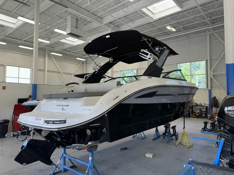 Slide: The Image of Sea Ray 250SDS 2025 - 10