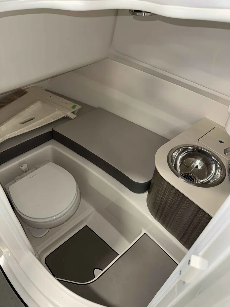 Slide: The Image of Sea Ray 250SDS 2025 - 17