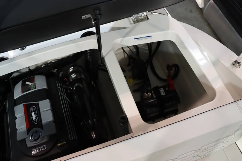 Slide: The Image of Sea Ray SPX 190 2025 - 6