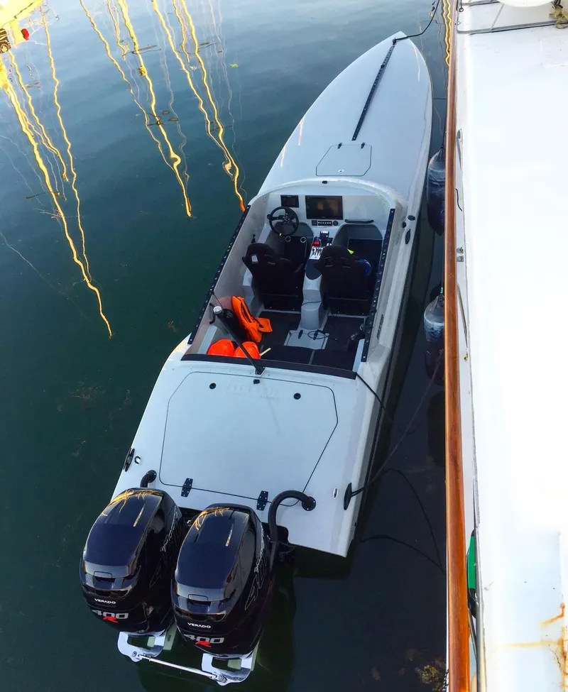 The Image of 2018 Nitra Boats 29 with dual outboard motors docked in calm water. - 1