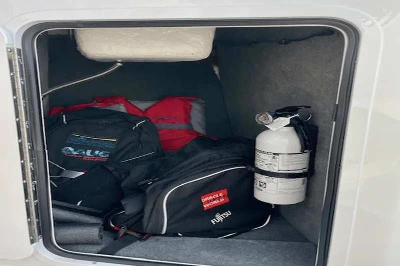 Slide: The Image of Sea Ray SPX 190 Outboard 2022 - 18