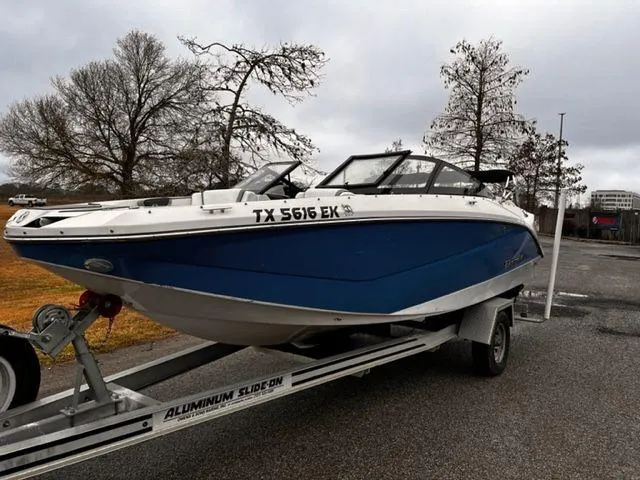 The Image of Scarab 215 2014 - 1