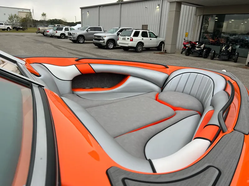 Slide: The Image of Sanger V215 SX 2023 - 19