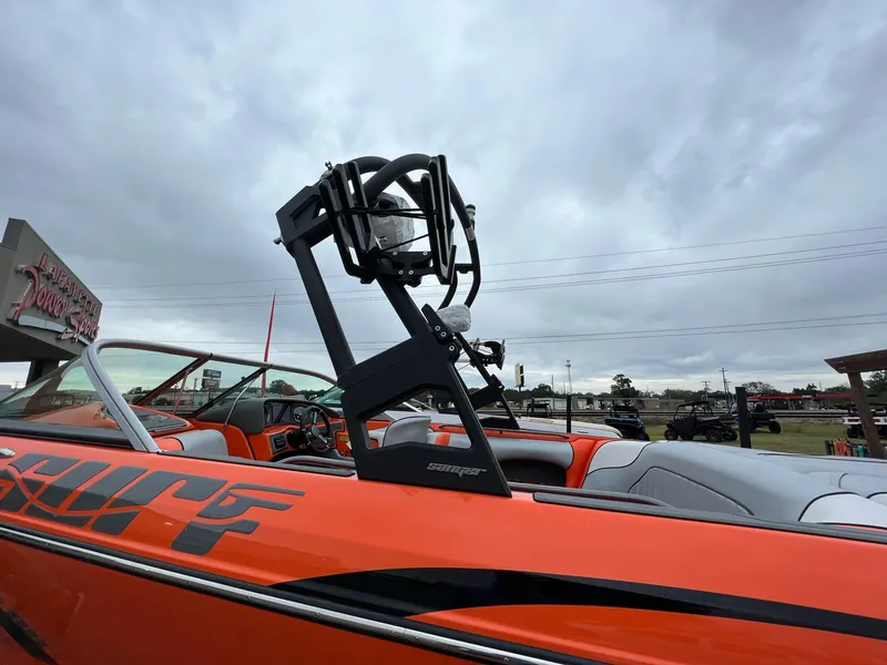 Slide: The Image of Sanger V215 SX 2023 - 5