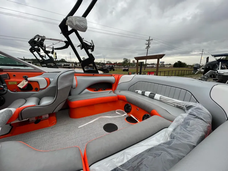 Slide: The Image of Sanger V215 SX 2023 - 8