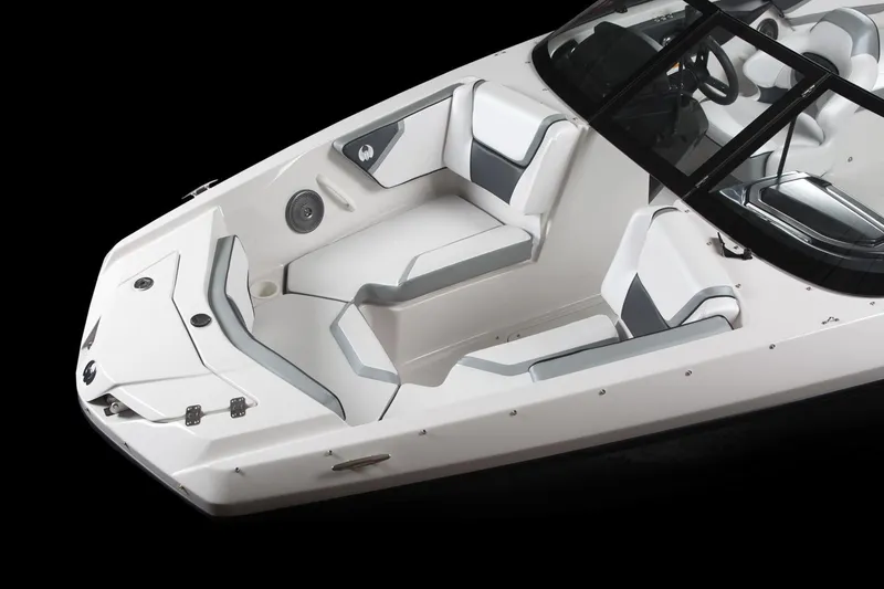 Slide: The Image of Scarab 215 G 2018 - 3