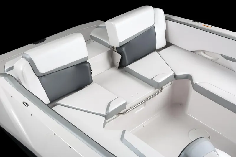 Slide: The Image of Scarab 215 G 2018 - 6