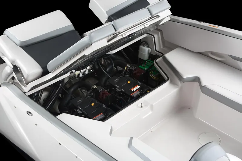 Slide: The Image of Scarab 215 G 2018 - 7