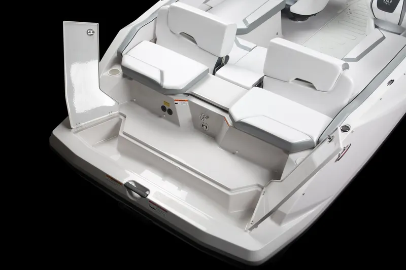 Slide: The Image of Scarab 215 G 2018 - 8