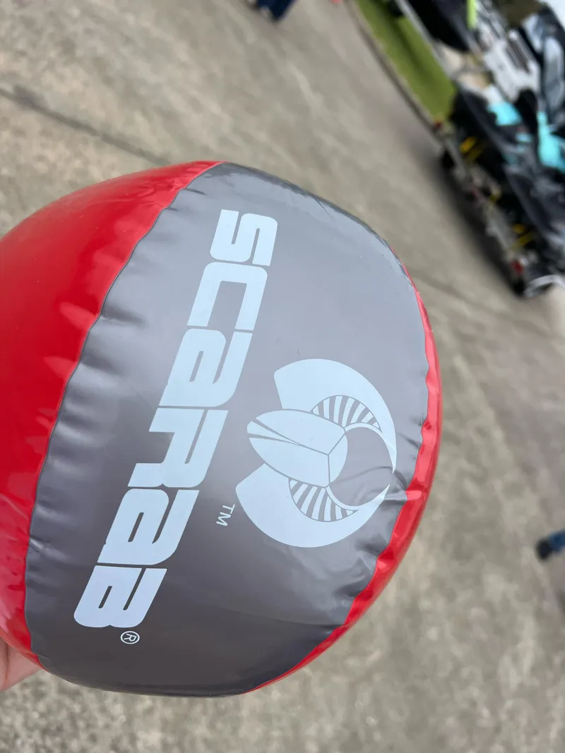 Slide: The Image of Scarab 255 ID 2023 - 12