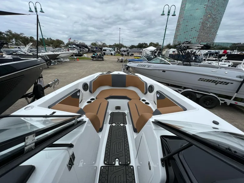 Slide: The Image of Scarab 255 ID 2023 - 7