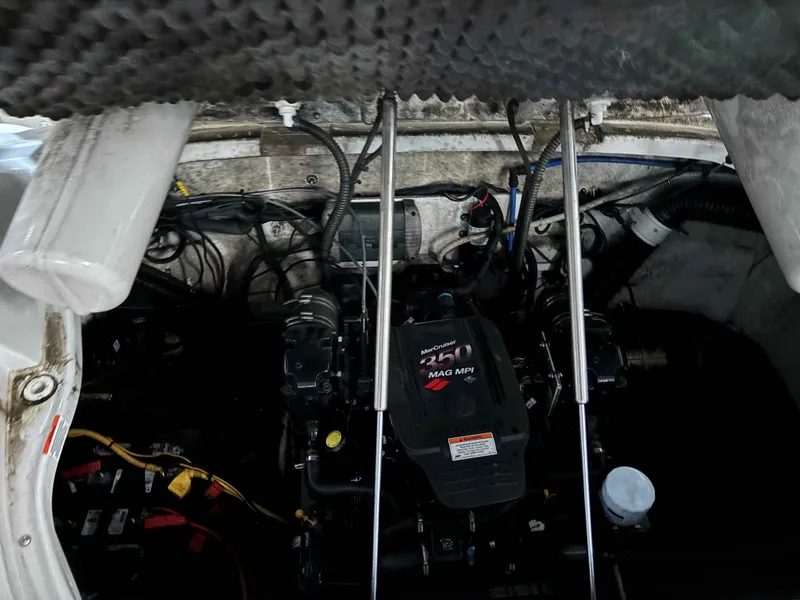 Slide: The Image of Crownline Boats 260 LS 2008 - 6