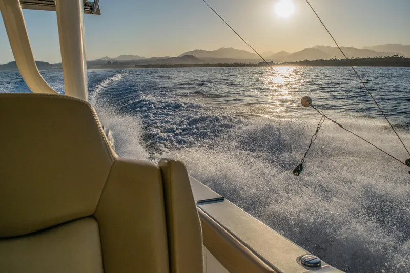 Slide: The Image of Scout 380 LXF 2020 - 74