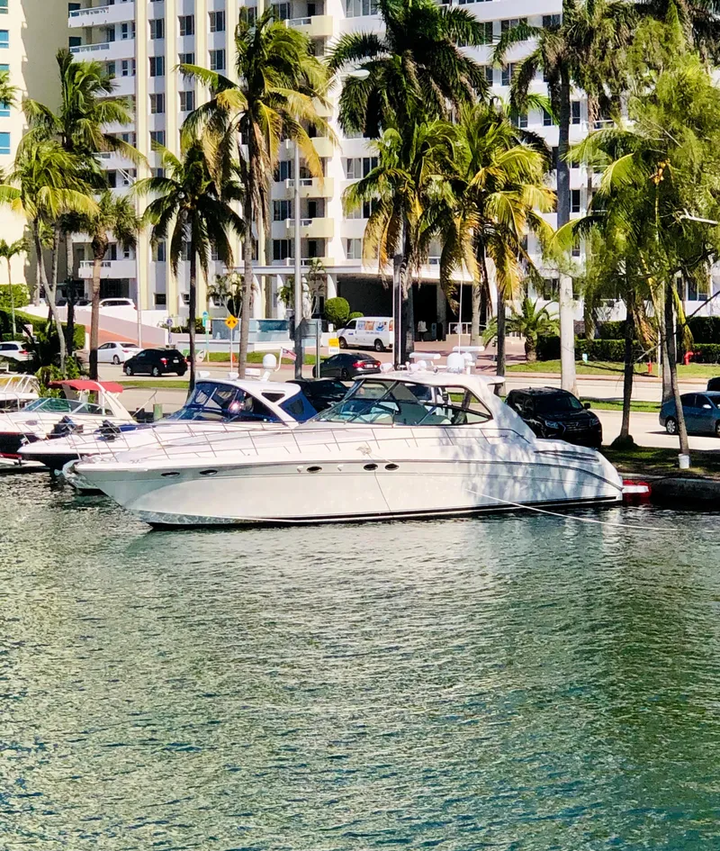 The Image of 2001 Sea Ray 540 Sundancer yacht docked near palm trees and waterfront buildings. - 0