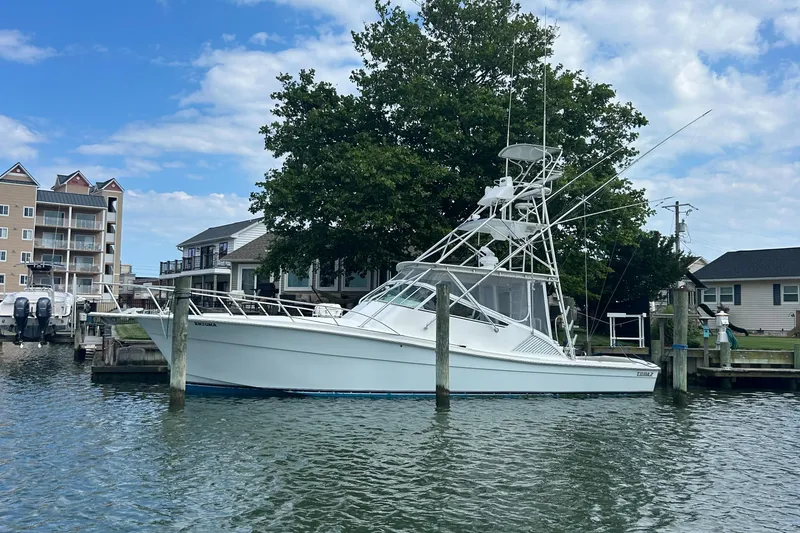 The Image of 2006 Topaz 40 Express boat docked near residential area. - 0