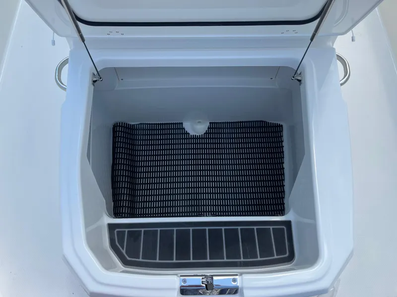Slide: The Image of Open storage compartment of 2024 Boston Whaler 250 Dauntless boat. - 22