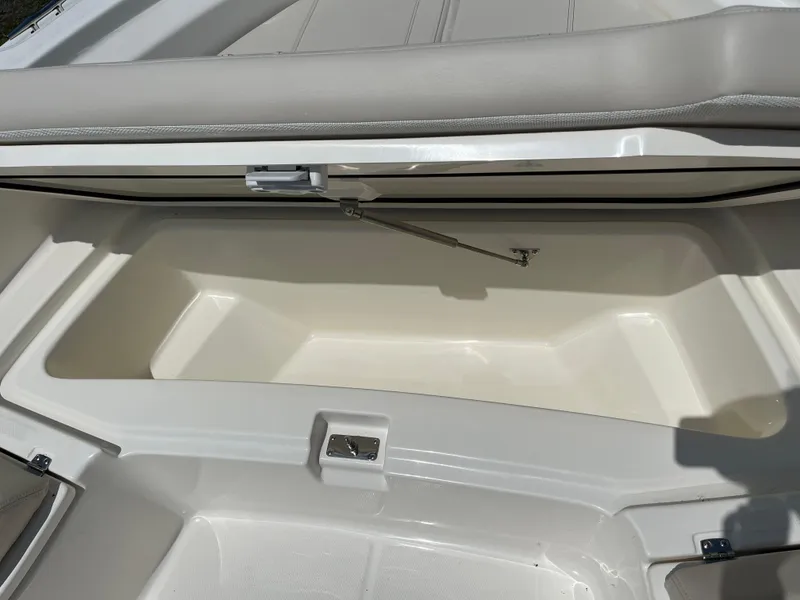 Slide: The Image of 2024 Boston Whaler 250 Dauntless storage compartment open. - 23