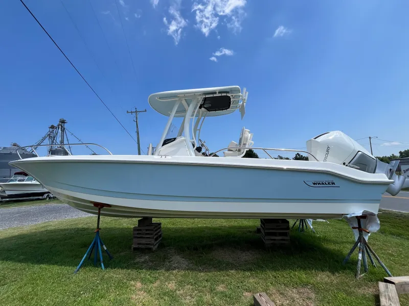 Slide: The Image of 2024 Boston Whaler 250 Dauntless boat on display outdoors. - 27