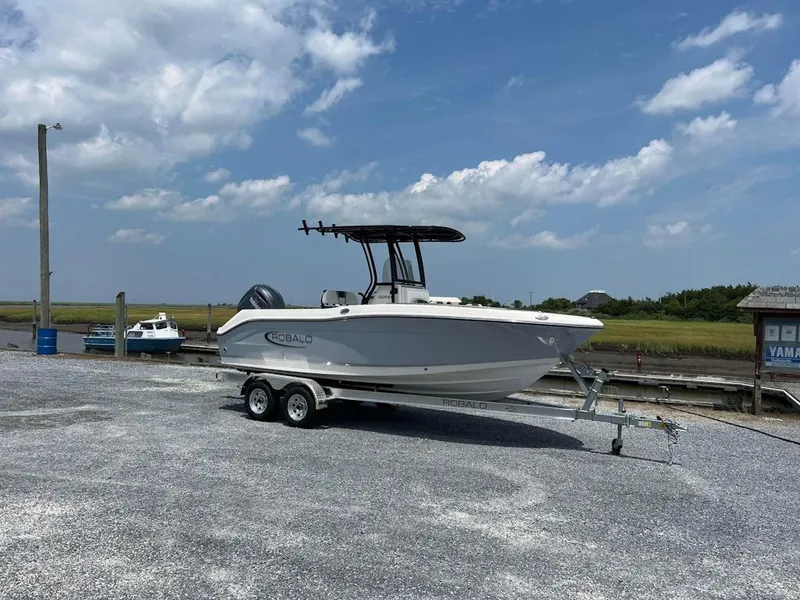 The Image of 2025 Robalo R200 Center Console boat on trailer at marina. - 2