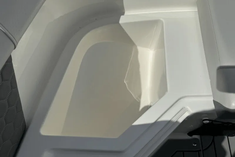 Slide: The Image of Sea Ray SDX 250 Outboard 2022 - 16